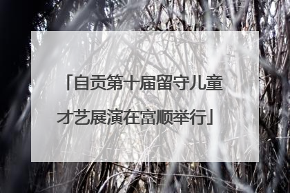 自贡第十届留守儿童才艺展演在富顺举行