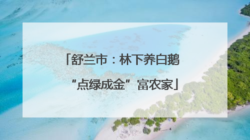 舒兰市：林下养白鹅 “点绿成金”富农家