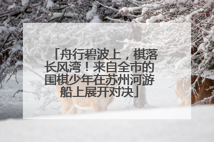 舟行碧波上，棋落长风湾！来自全市的围棋少年在苏州河游船上展开对决