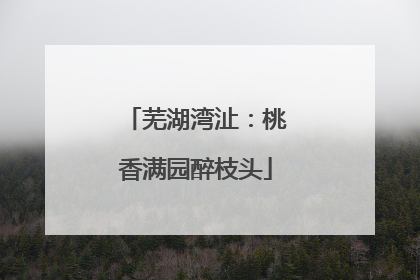 芜湖湾沚：桃香满园醉枝头