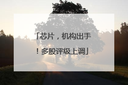 芯片，机构出手！多股评级上调