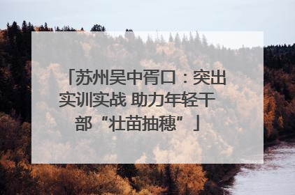 苏州吴中胥口：突出实训实战 助力年轻干部“壮苗抽穗”