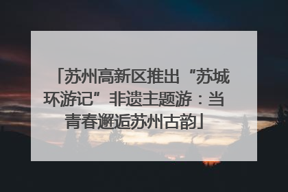 苏州高新区推出“苏城环游记”非遗主题游：当青春邂逅苏州古韵