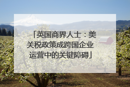 英国商界人士：美关税政策成跨国企业运营中的关键障碍