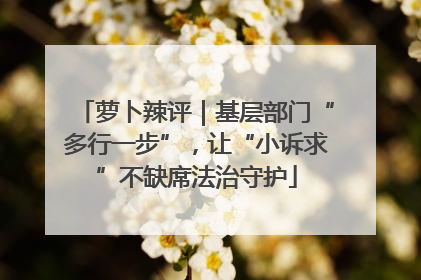 萝卜辣评｜基层部门“多行一步”，让“小诉求”不缺席法治守护