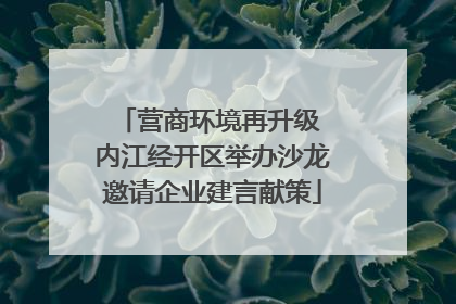 营商环境再升级 内江经开区举办沙龙邀请企业建言献策