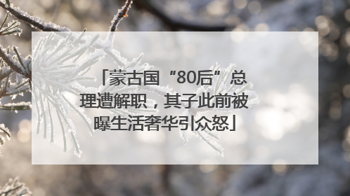 蒙古国“80后”总理遭解职，其子此前被曝生活奢华引众怒