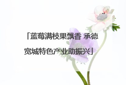 蓝莓满枝果飘香 承德宽城特色产业助振兴