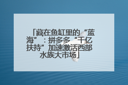 藏在鱼缸里的“蓝海”：拼多多“千亿扶持”加速激活西部水族大市场