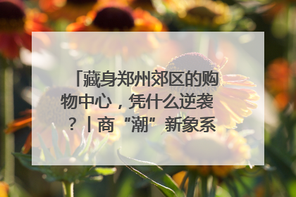 藏身郑州郊区的购物中心，凭什么逆袭？丨商“潮”新象系列观察之四