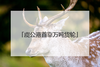 虞公港首靠万吨货轮