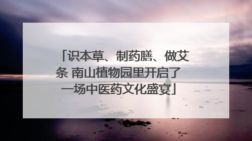 识本草、制药膳、做艾条 南山植物园里开启了一场中医药文化盛宴