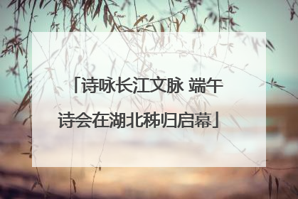 诗咏长江文脉 端午诗会在湖北秭归启幕