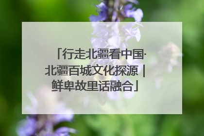 行走北疆看中国·北疆百城文化探源｜鲜卑故里话融合