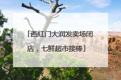 西红门大润发卖场闭店，七鲜超市接棒