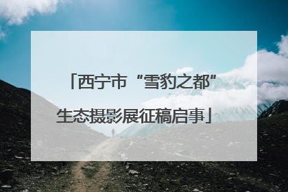 西宁市“雪豹之都”生态摄影展征稿启事