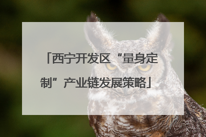 西宁开发区“量身定制”产业链发展策略