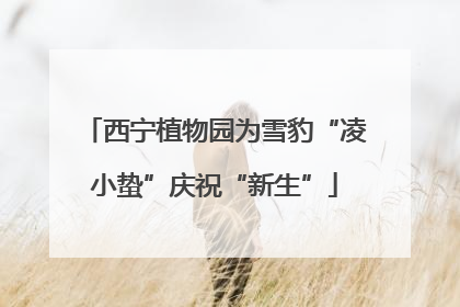 西宁植物园为雪豹“凌小蛰”庆祝“新生”