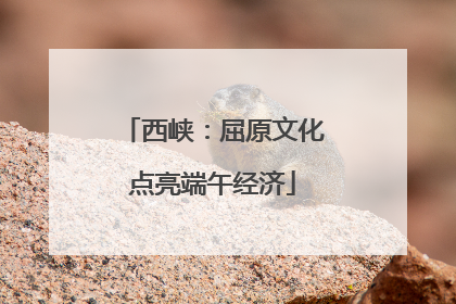西峡：屈原文化点亮端午经济