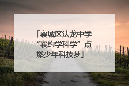襄城区法龙中学“襄约学科学”点燃少年科技梦