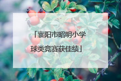 襄阳市昭明小学球类竞赛获佳绩