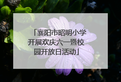 襄阳市昭明小学开展欢庆六一暨校园开放日活动