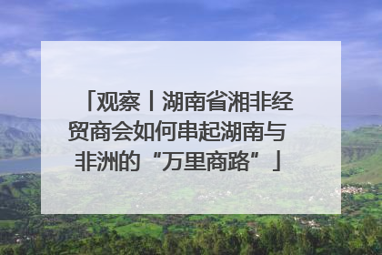 观察丨湖南省湘非经贸商会如何串起湖南与非洲的“万里商路”