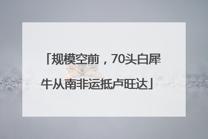规模空前，70头白犀牛从南非运抵卢旺达