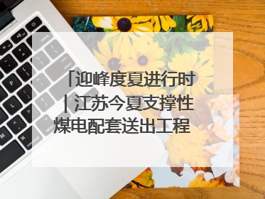 迎峰度夏进行时｜江苏今夏支撑性煤电配套送出工程全部投运