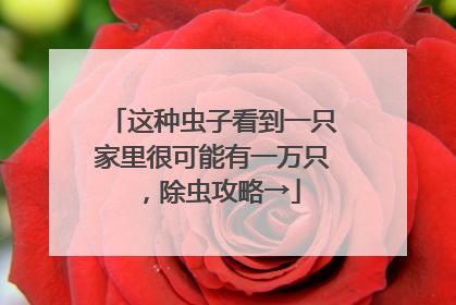 这种虫子看到一只家里很可能有一万只，除虫攻略→