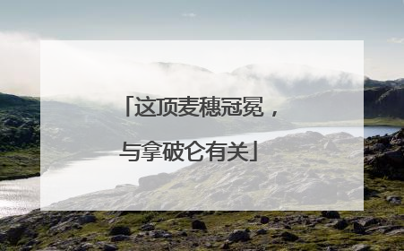 这顶麦穗冠冕，与拿破仑有关