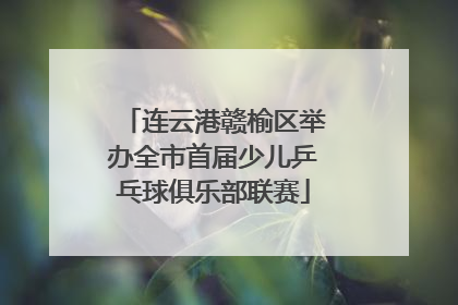 连云港赣榆区举办全市首届少儿乒乓球俱乐部联赛