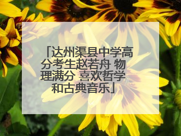 达州渠县中学高分考生赵若舟 物理满分 喜欢哲学和古典音乐