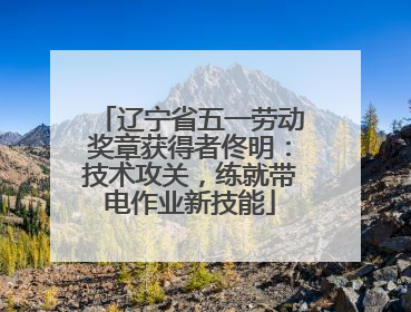 辽宁省五一劳动奖章获得者佟明：技术攻关，练就带电作业新技能