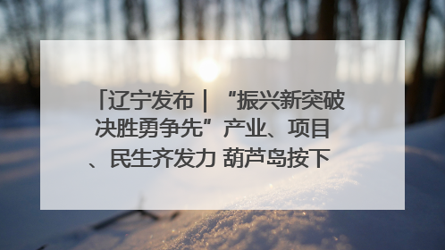 辽宁发布｜“振兴新突破 决胜勇争先”产业、项目、民生齐发力 葫芦岛按下决胜之年“加速键”