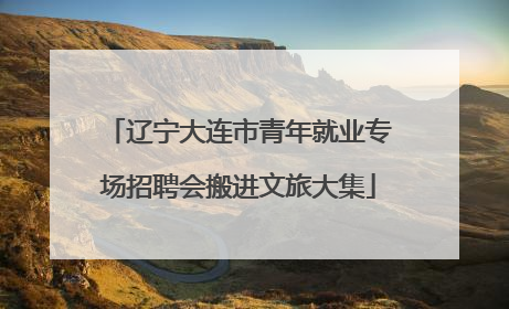 辽宁大连市青年就业专场招聘会搬进文旅大集