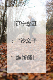 辽宁彰武：“沙窝子”焕新颜