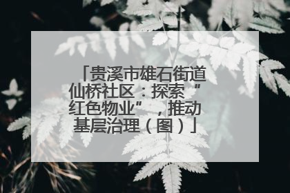 贵溪市雄石街道仙桥社区：探索“红色物业”，推动基层治理（图）