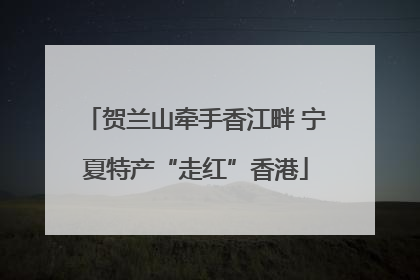 贺兰山牵手香江畔 宁夏特产“走红”香港