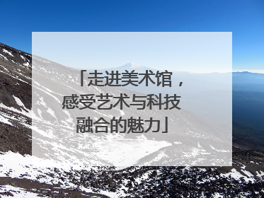 走进美术馆，感受艺术与科技融合的魅力