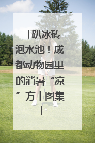 趴冰砖 泡水池！成都动物园里的消暑“凉”方丨图集