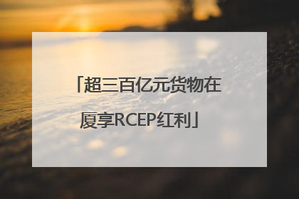 超三百亿元货物在厦享RCEP红利
