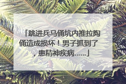 跳进兵马俑坑内推拉陶俑造成损坏！男子抓到了，患精神疾病……