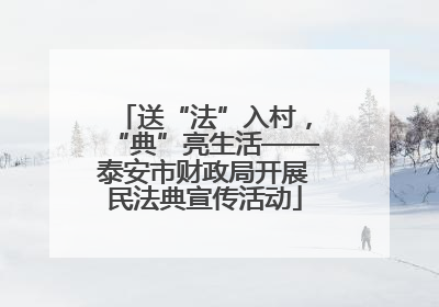 送“法”入村，“典”亮生活——泰安市财政局开展民法典宣传活动