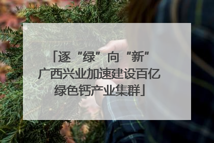 逐“绿”向“新” 广西兴业加速建设百亿绿色钙产业集群