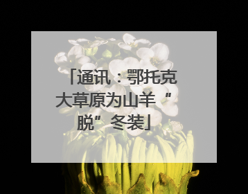 通讯：鄂托克大草原为山羊“脱”冬装