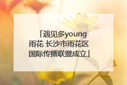 遇见多young雨花 长沙市雨花区国际传播联盟成立