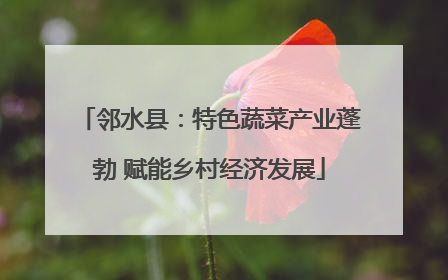 邻水县：特色蔬菜产业蓬勃 赋能乡村经济发展