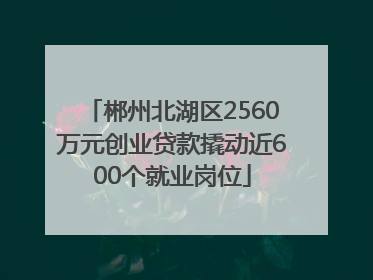 郴州北湖区2560万元创业贷款撬动近600个就业岗位
