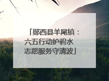 郧西县羊尾镇：六五行动护碧水 志愿服务守清波